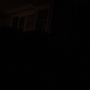 Meet your Posher, January